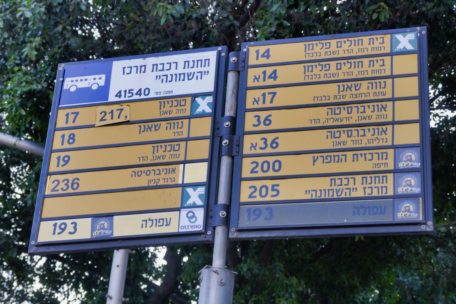 Haifa