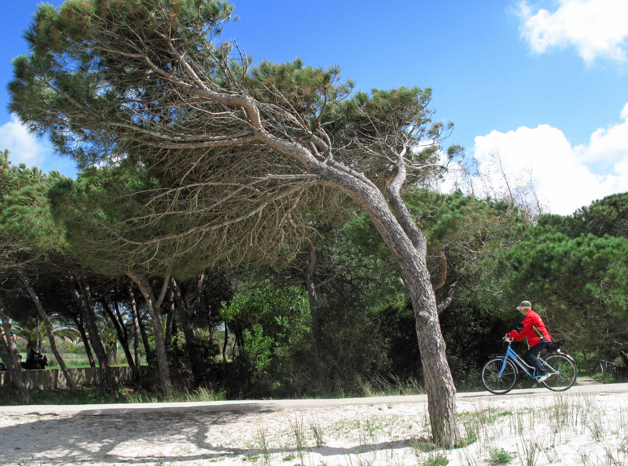 Cykeltur