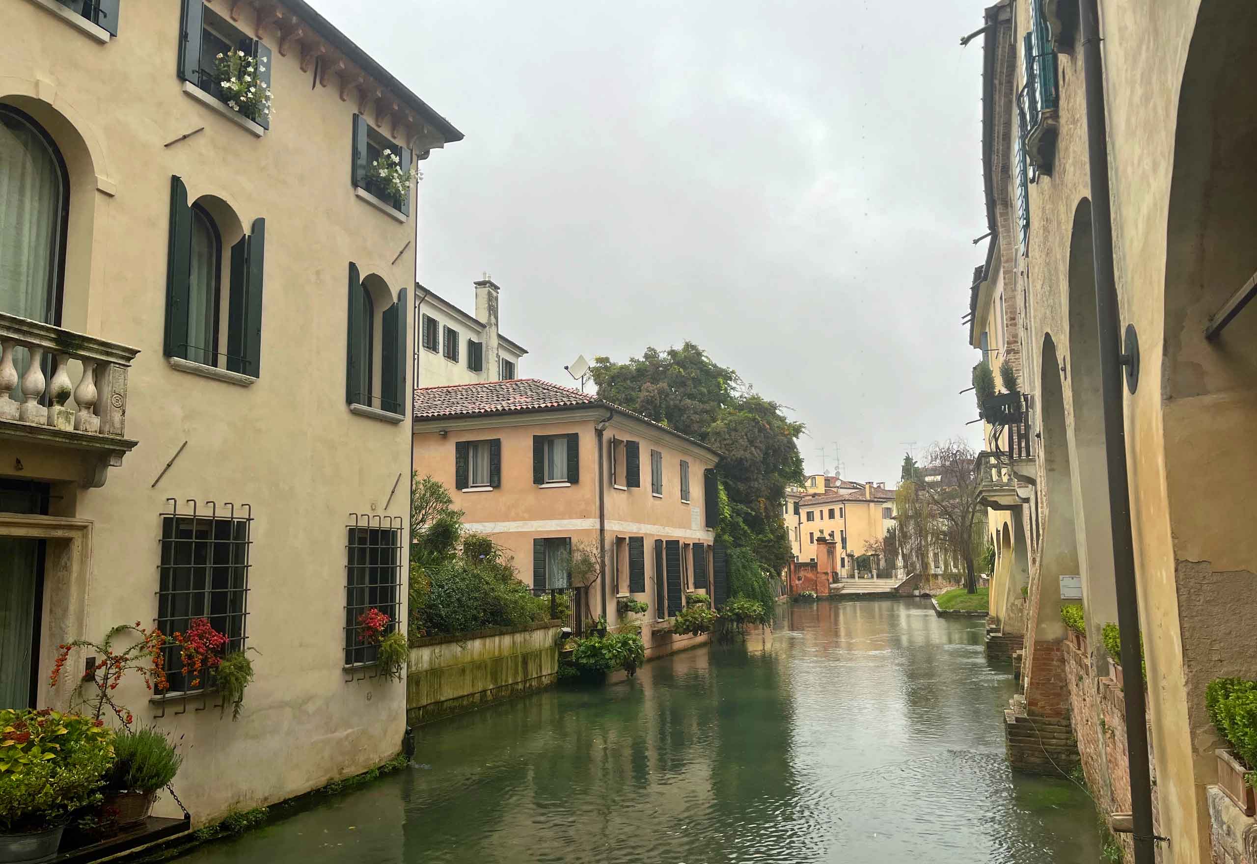 Treviso