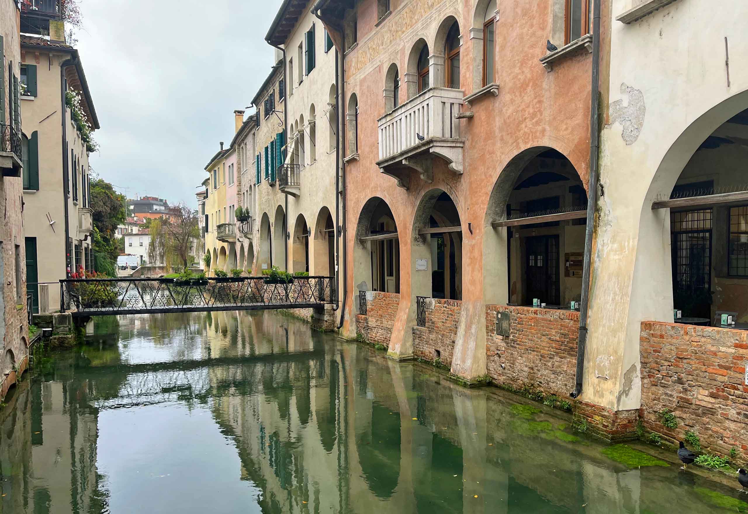 Treviso