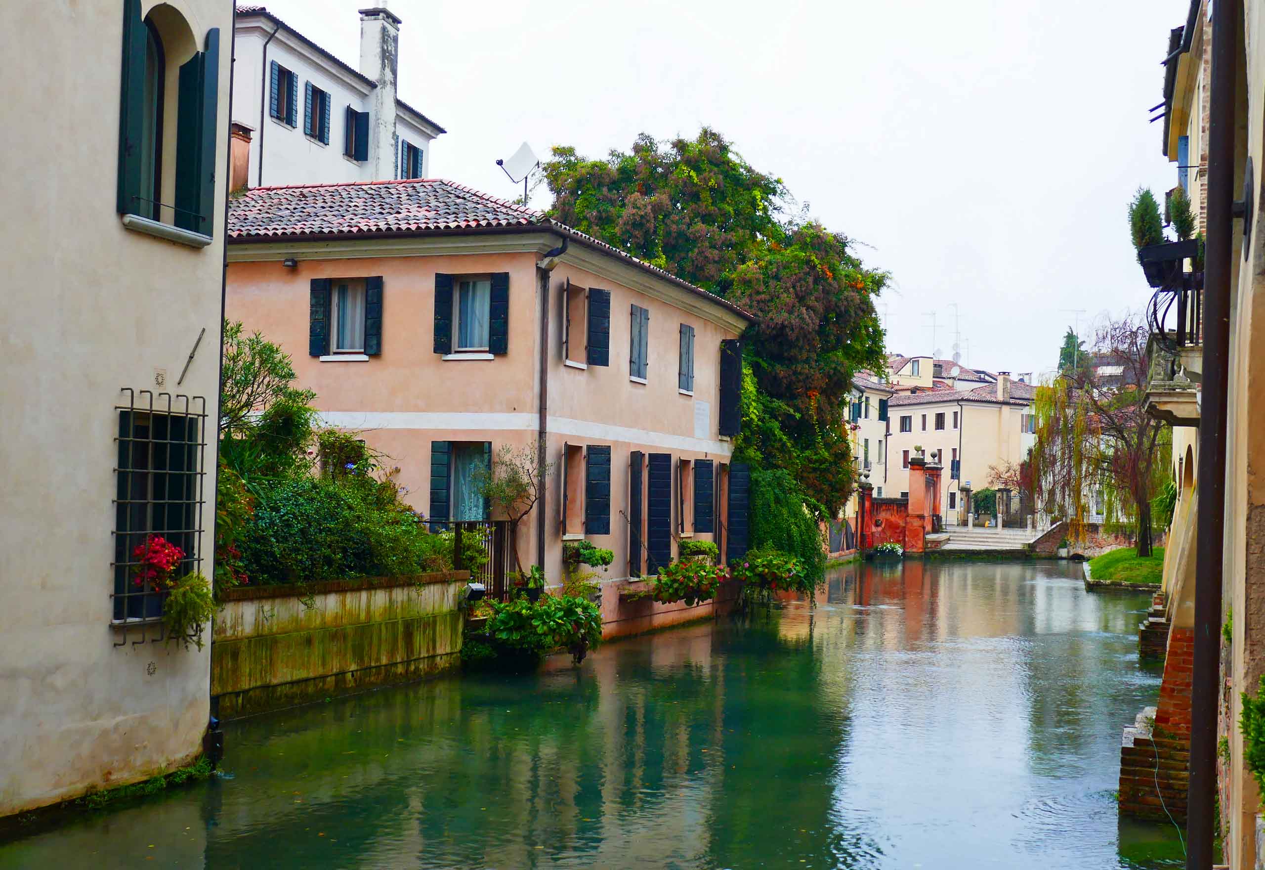 Treviso