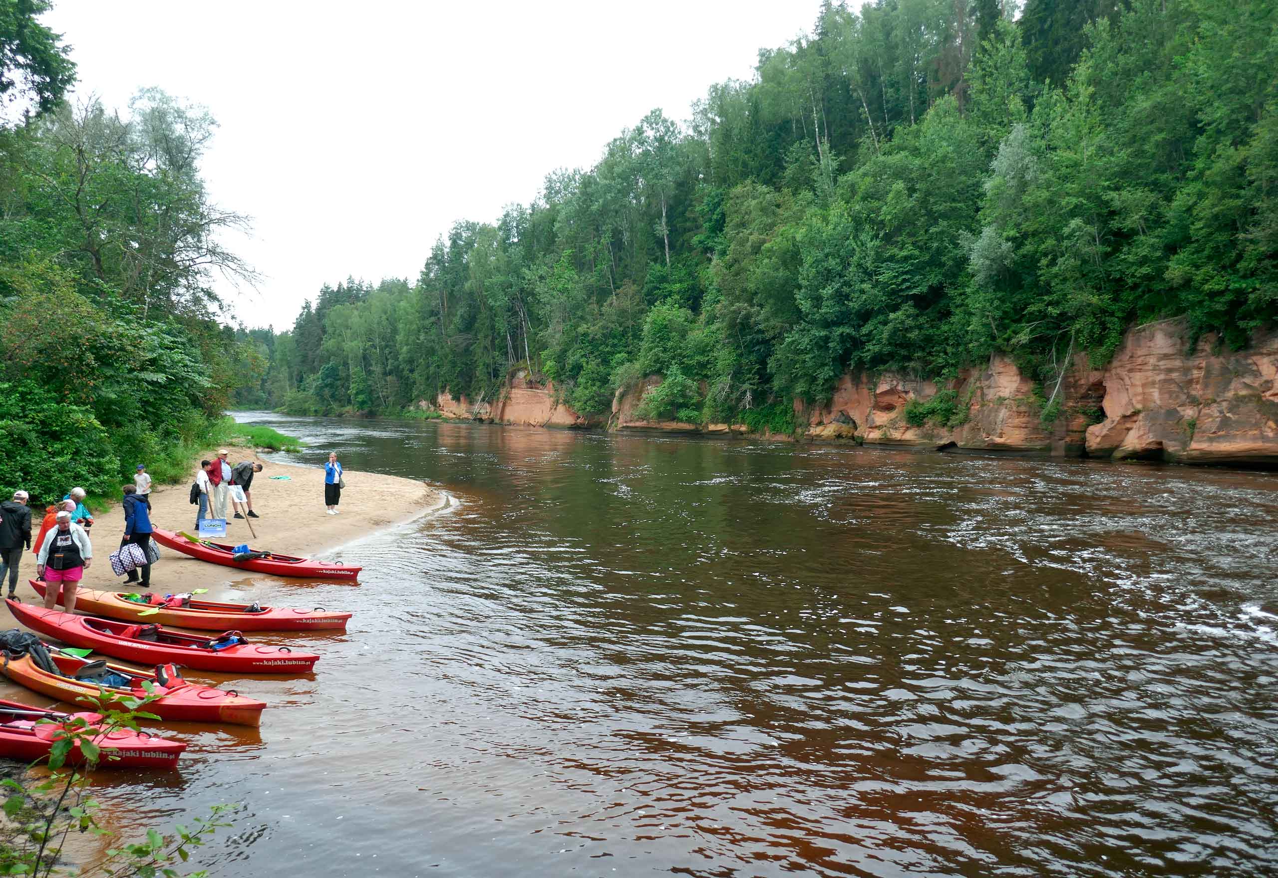 Gauja floden