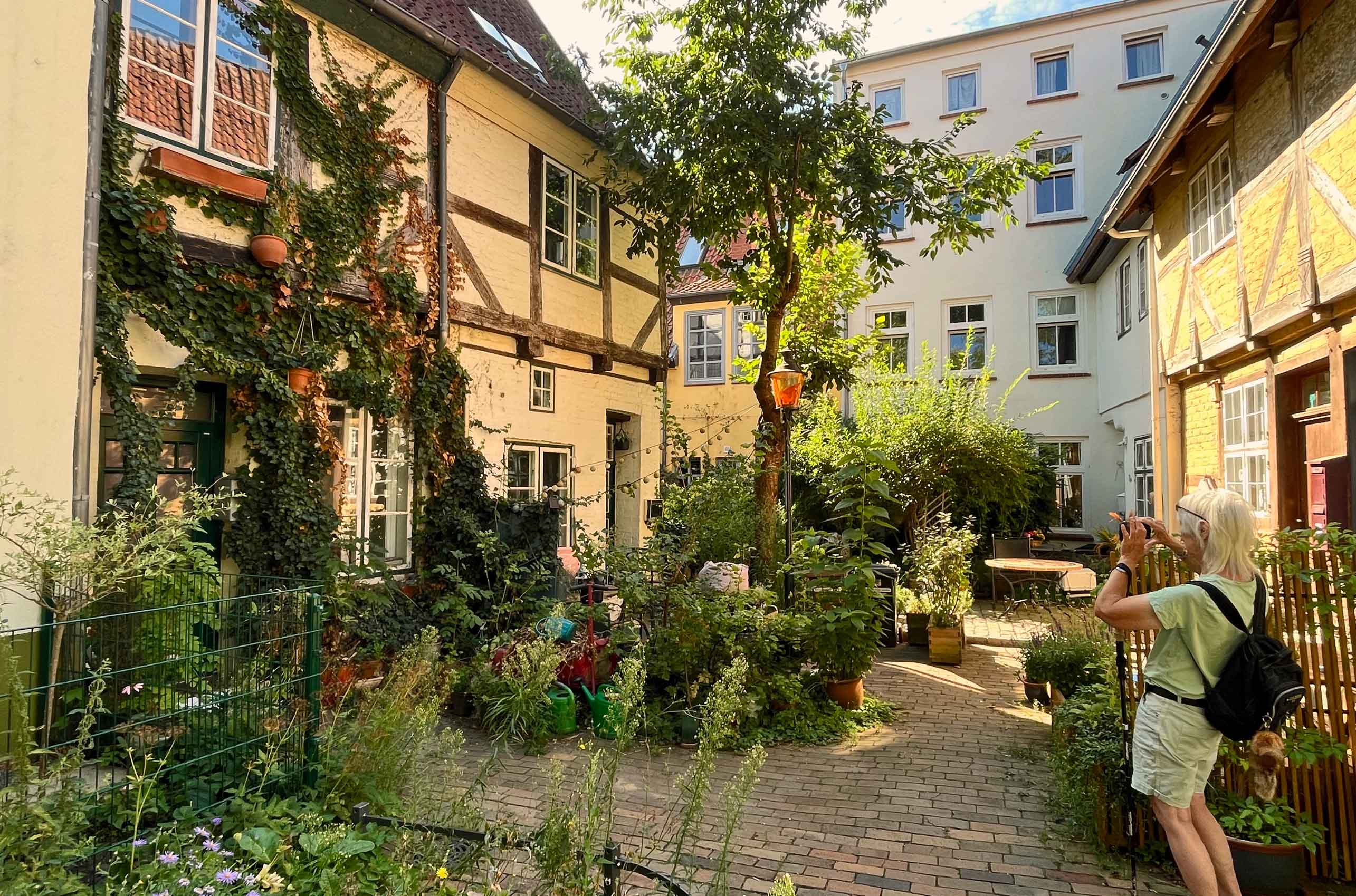 Baggård