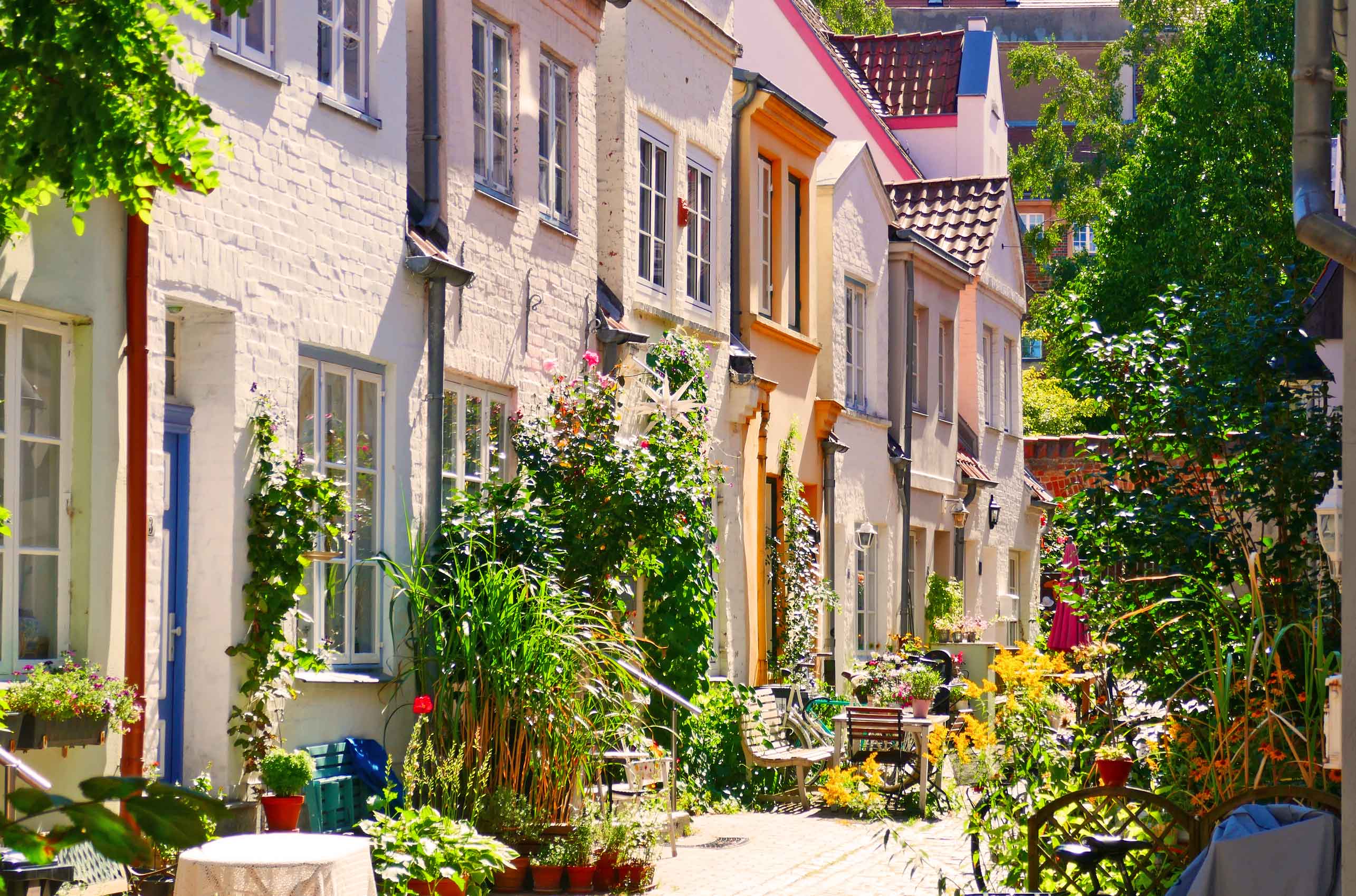 Baggård