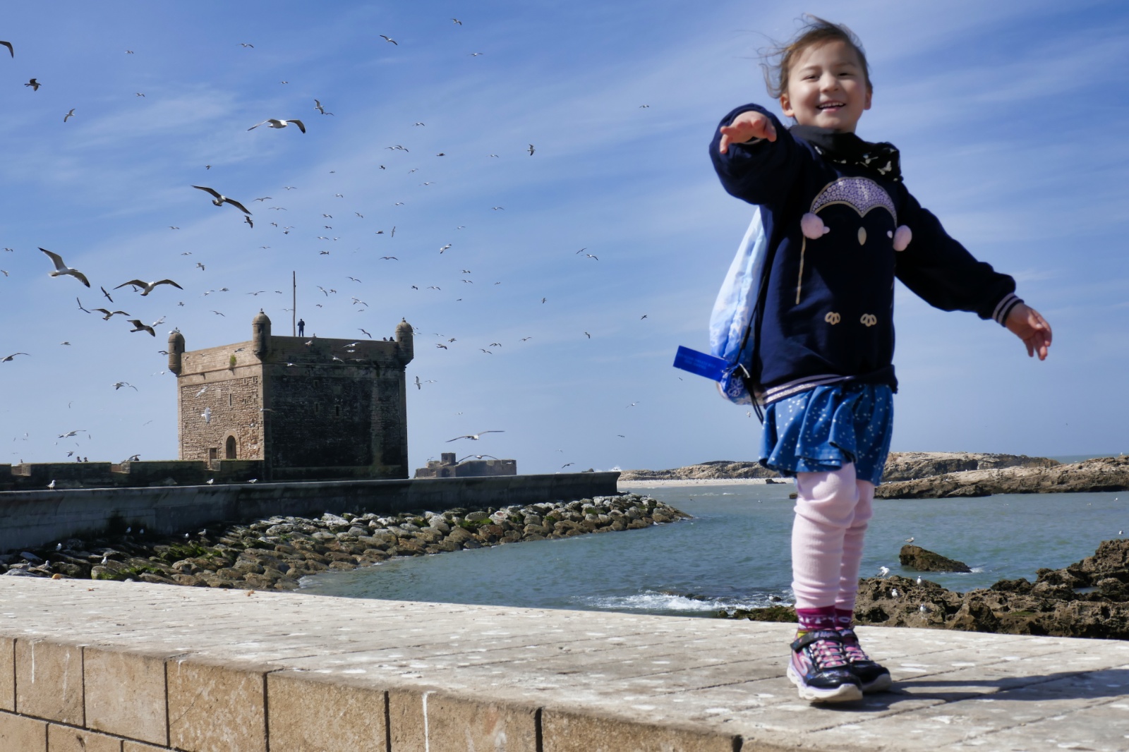 Essaouira Scala (volde)
