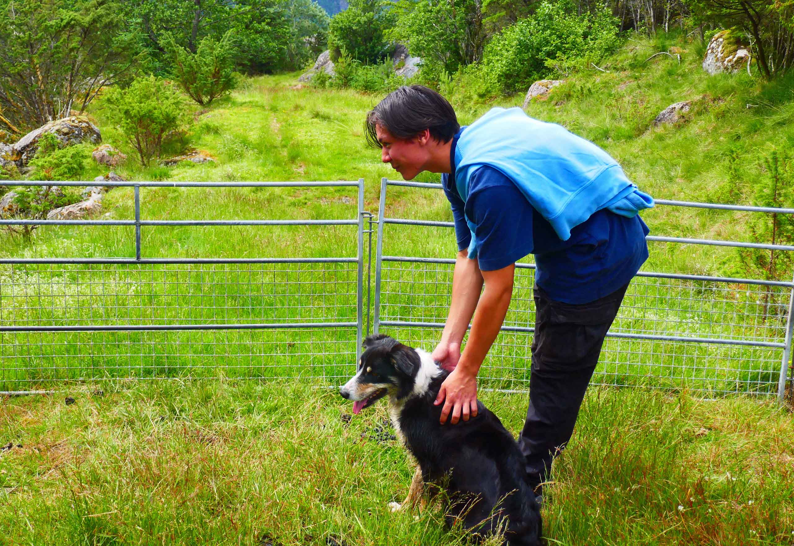 Gårdens hund, Fossa.