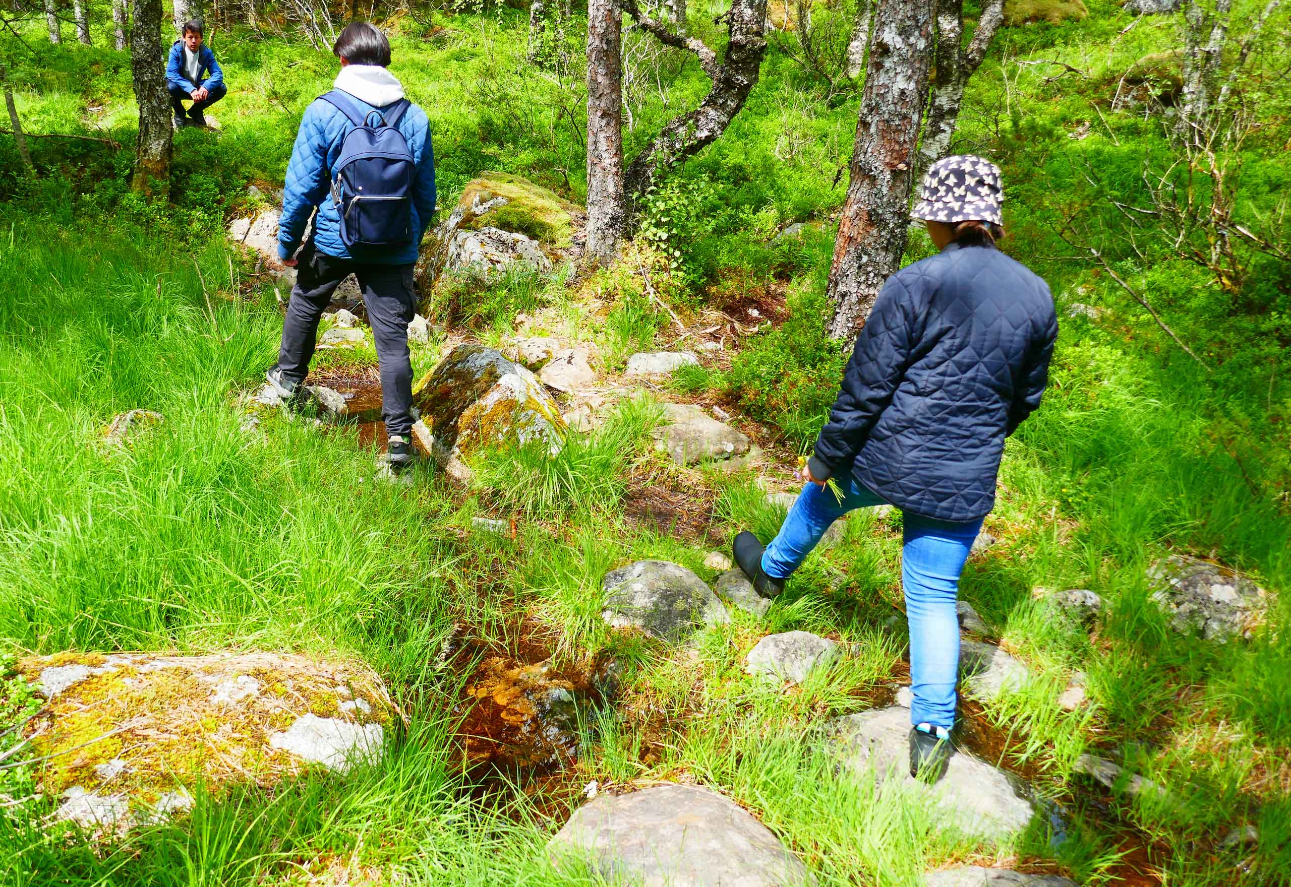Udflugt til meteor krateret