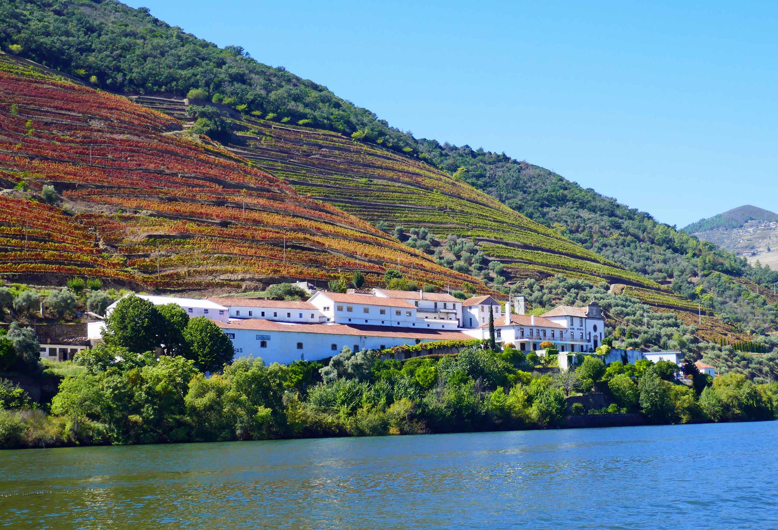 Flere quinta'er