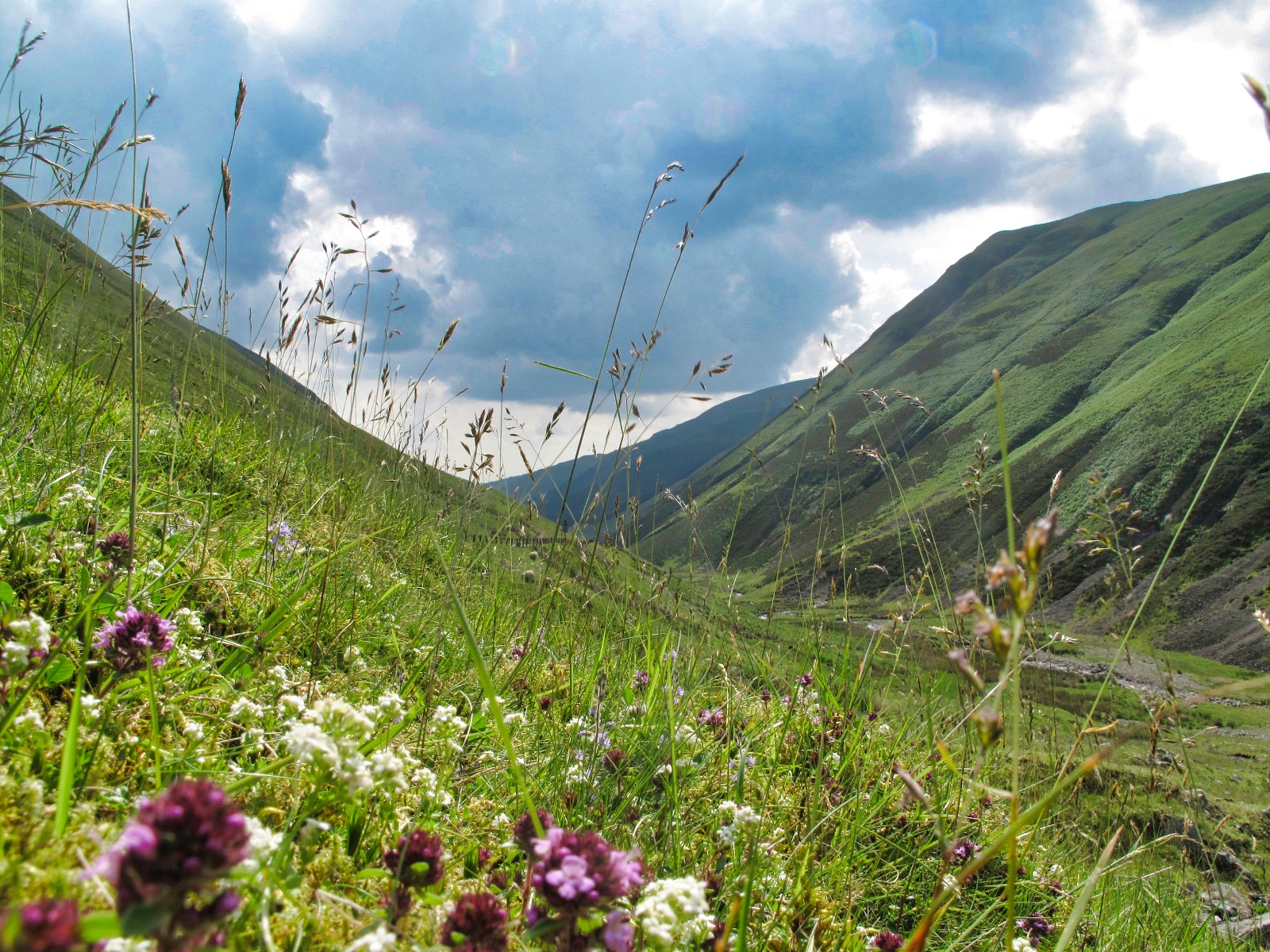 Vandretur højlandet