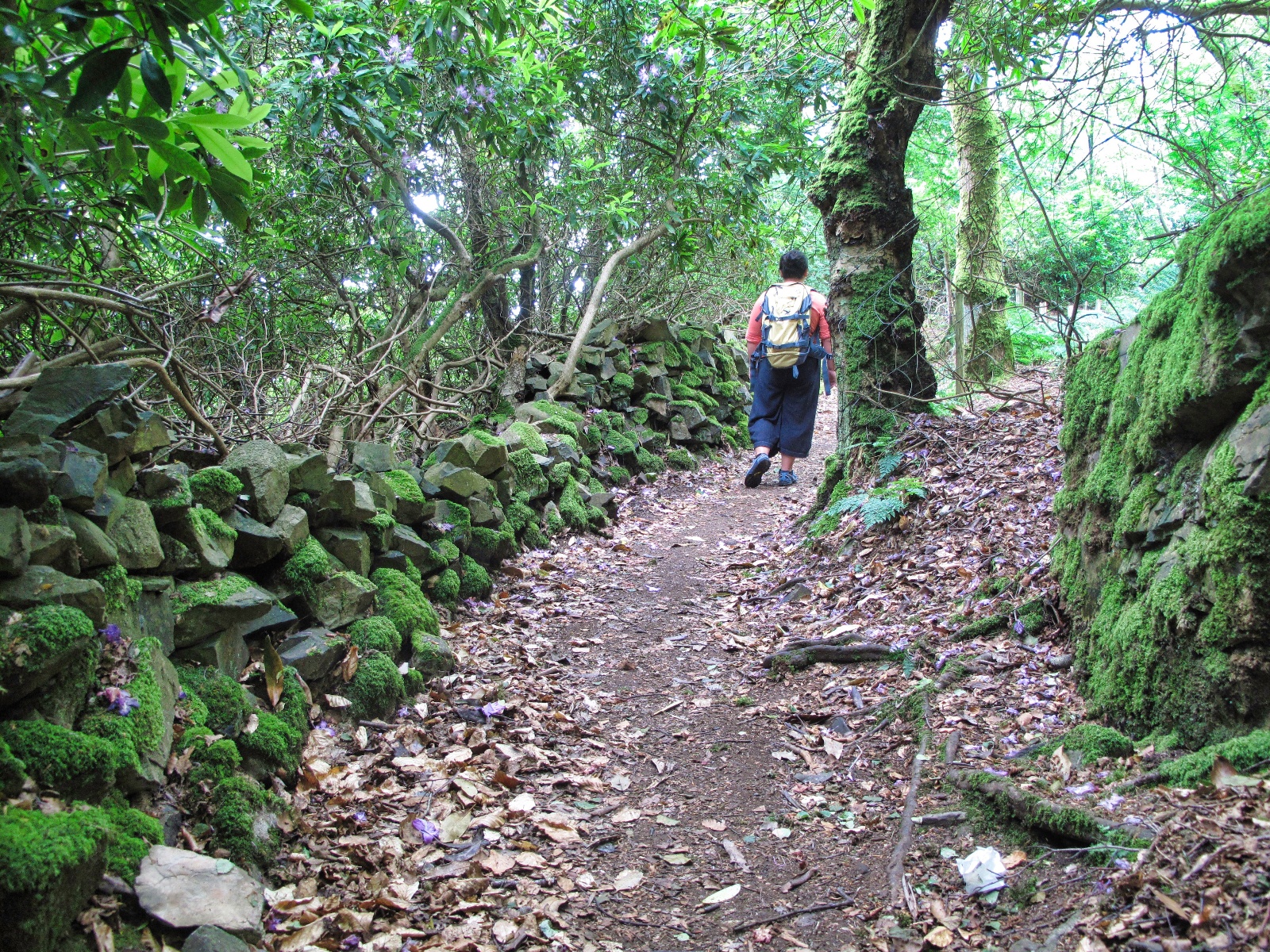 Vandretur højlandet