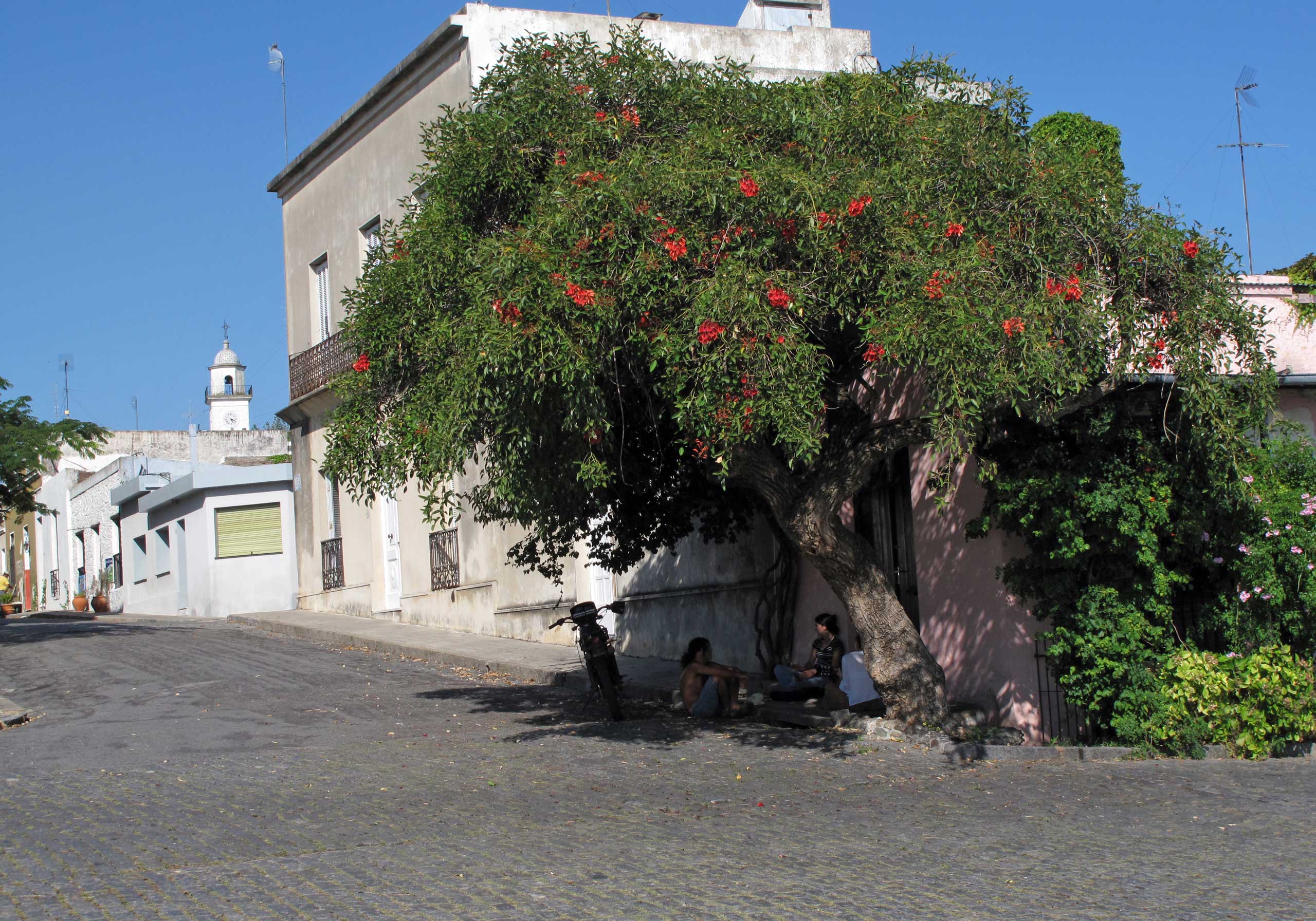 Siesta