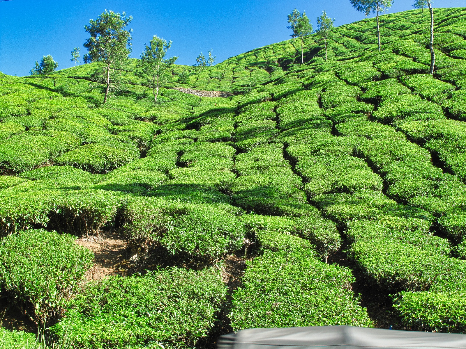 Munnar