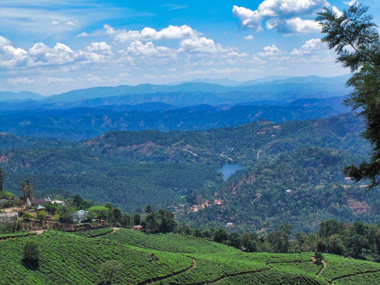 Munnar