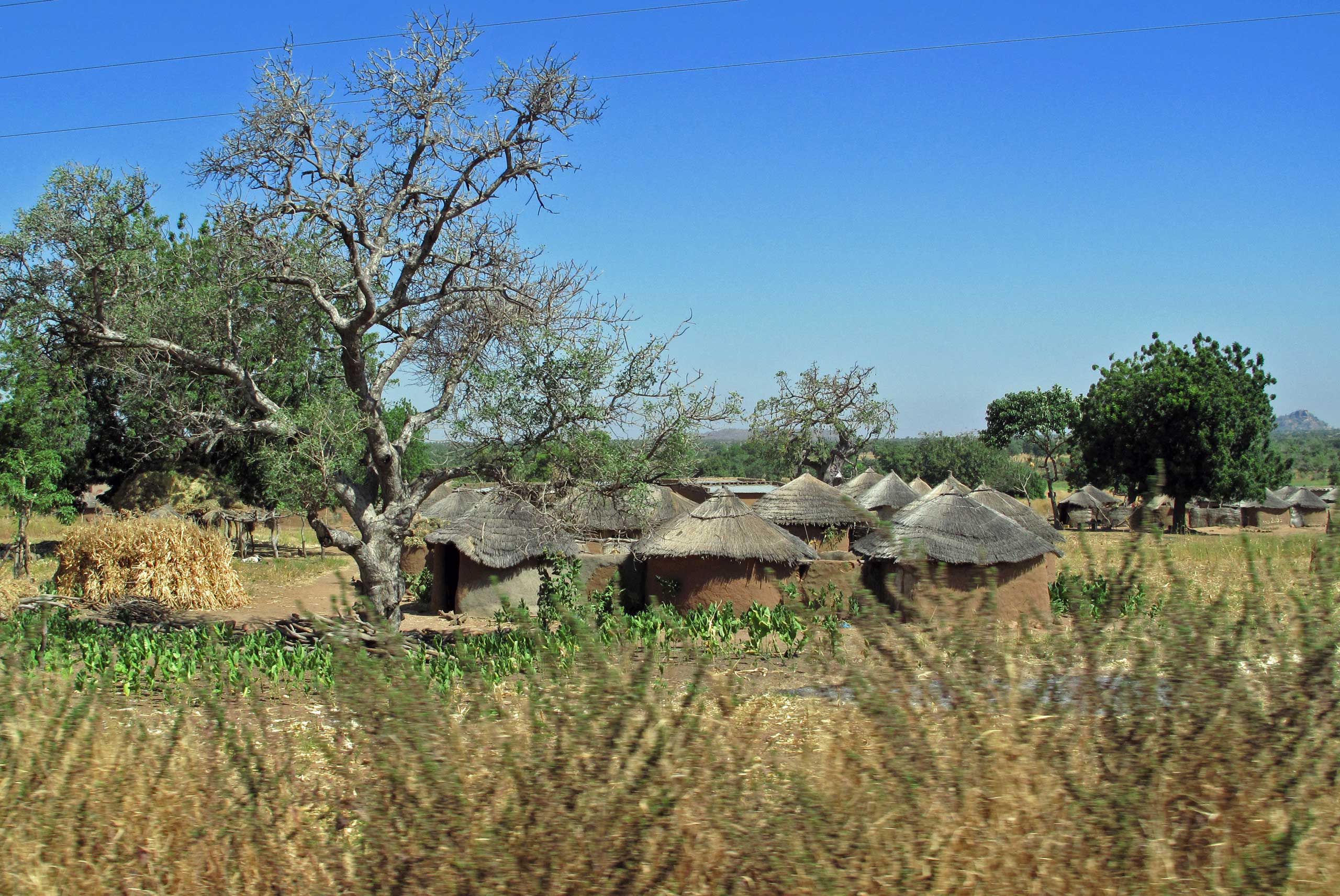 Somba-stammen