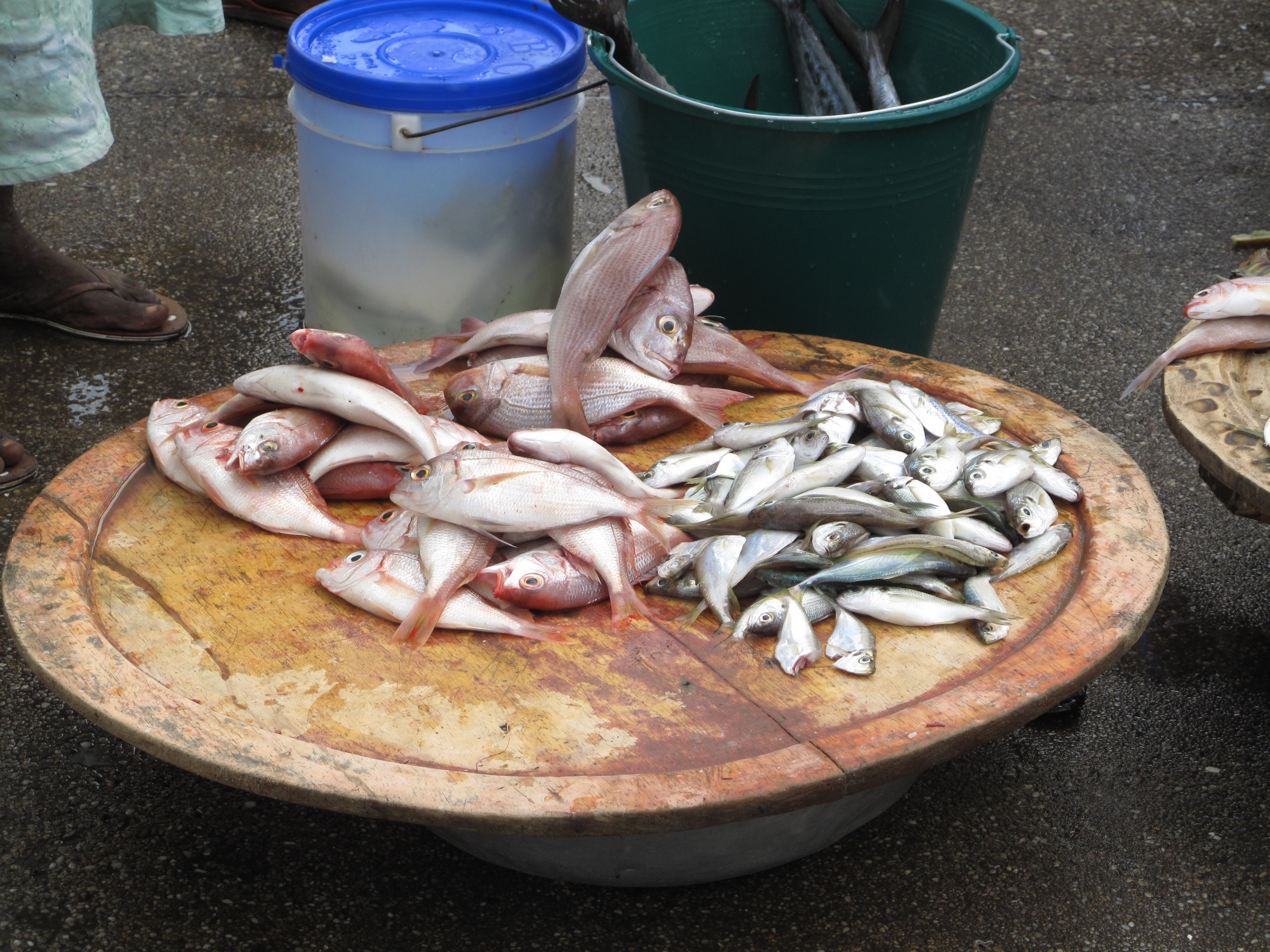Fiskemarked