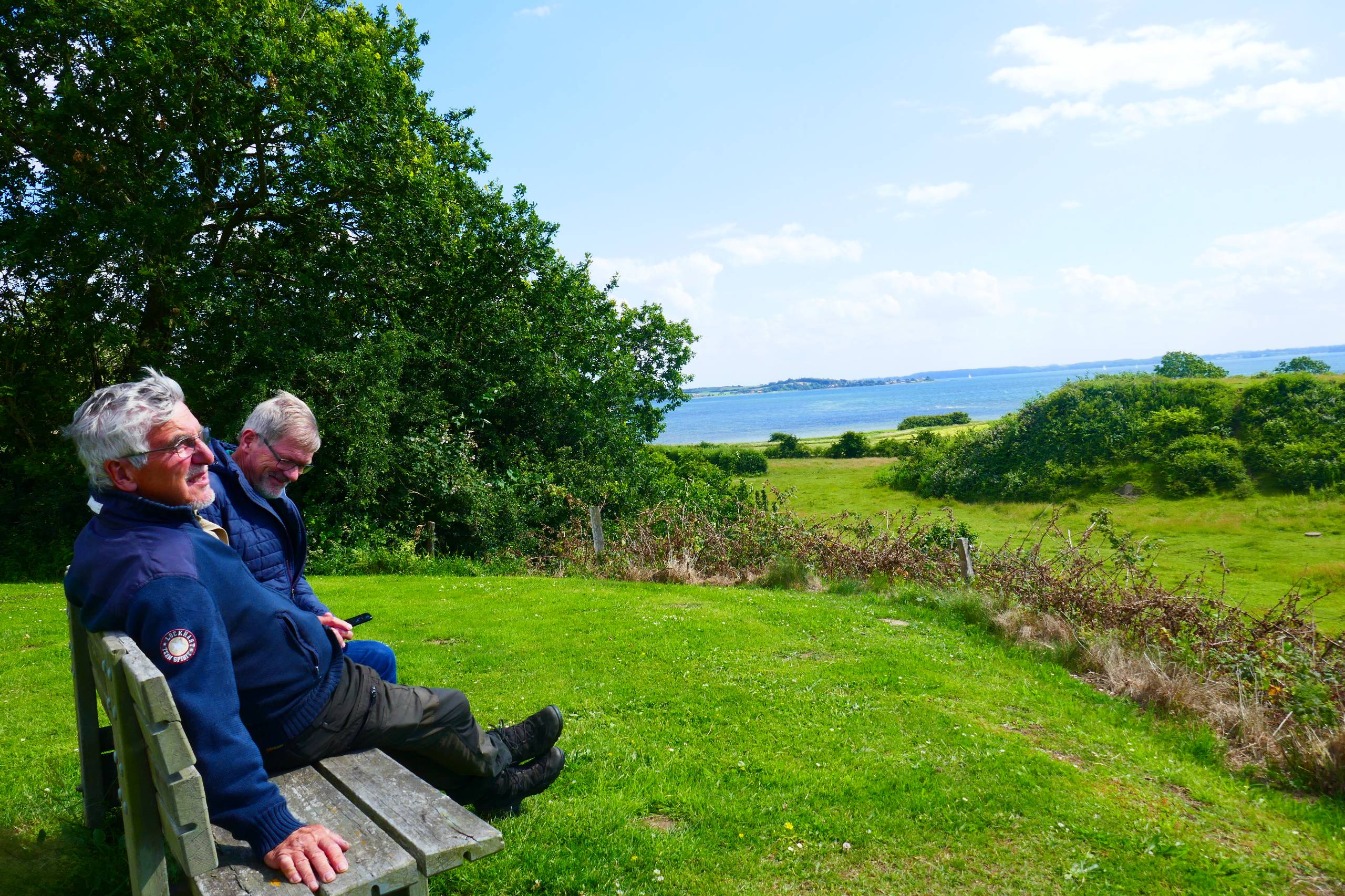 Udsigt fra sommerhuset