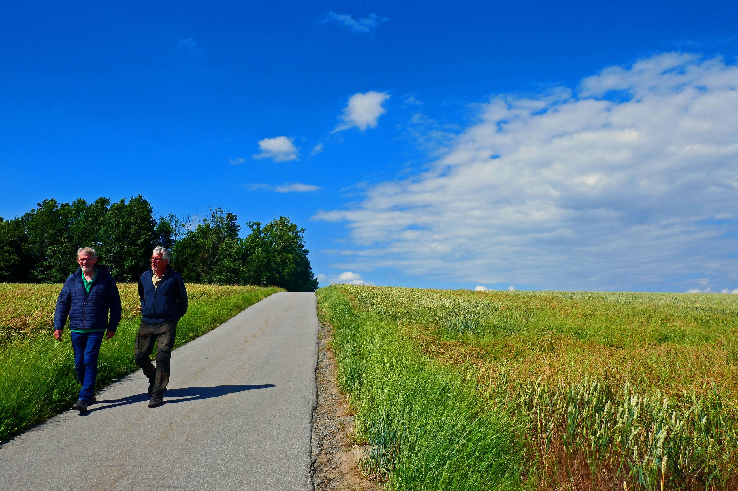 Vejen til surfer-stranden