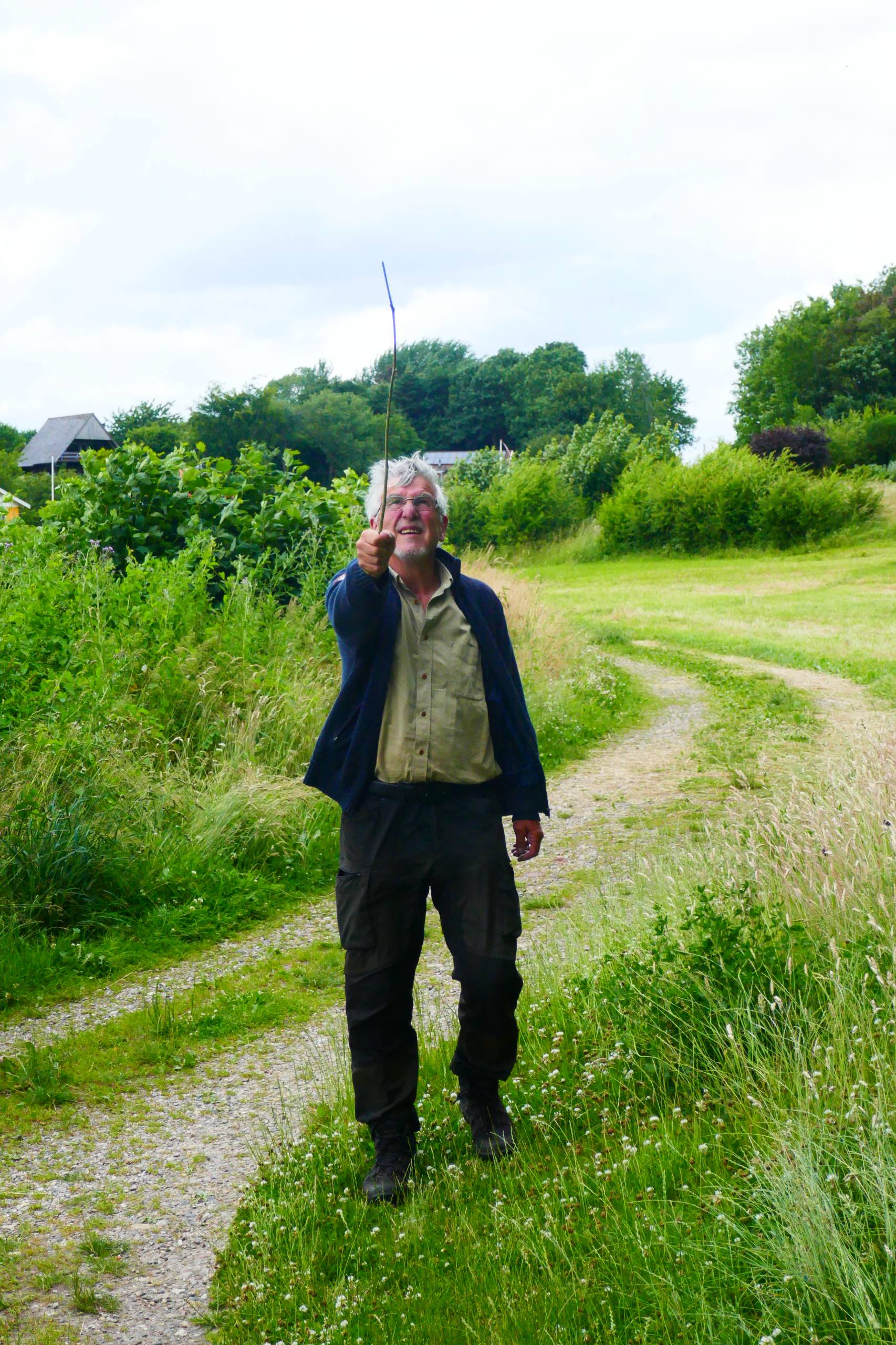 Frank måler højden på træerne