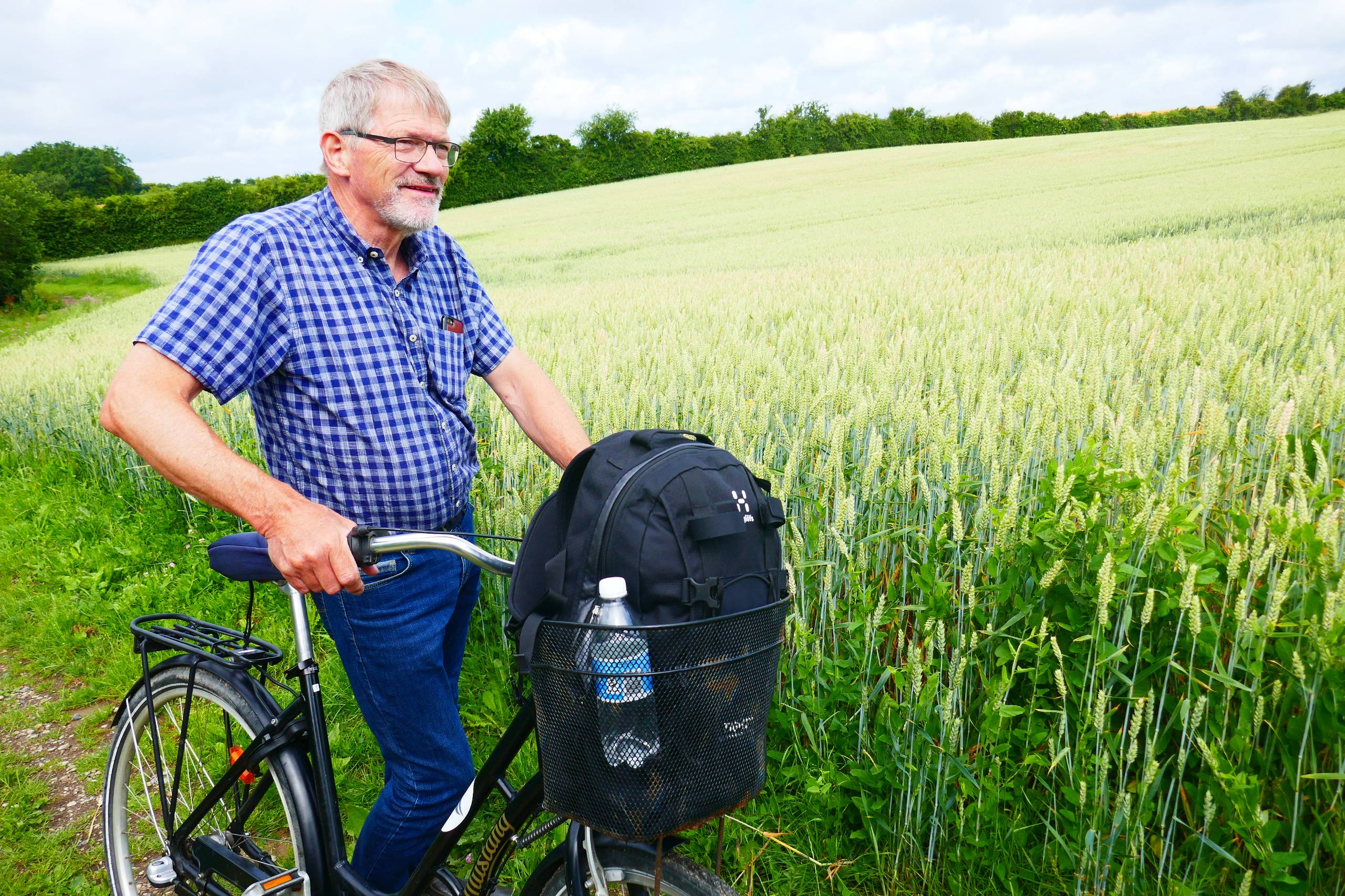 Hans ved en 40-fold hvedemark