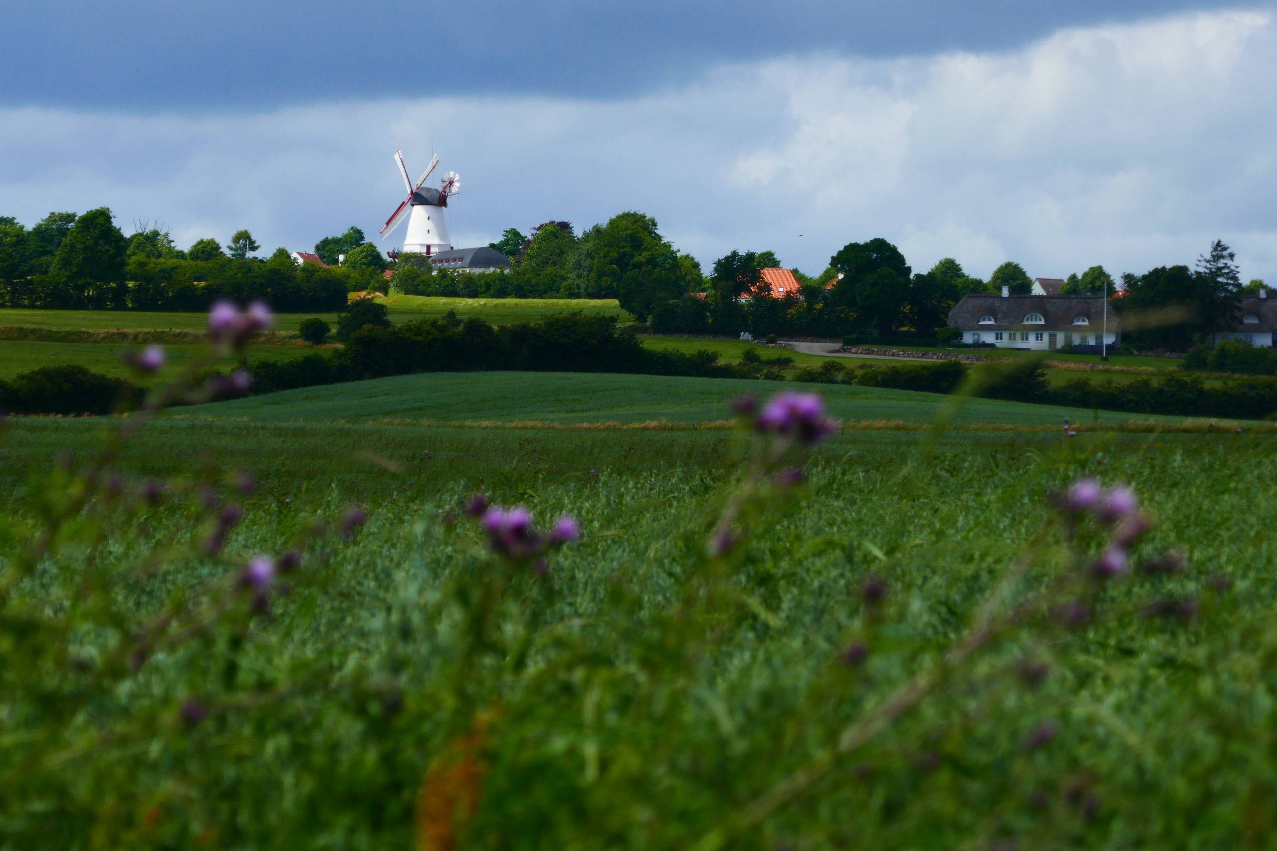 Dybbøl Mølle