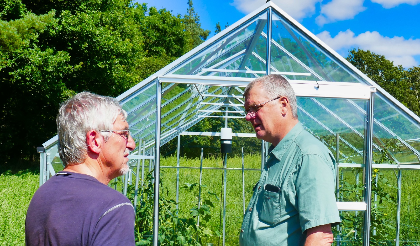 Neergaard og Prosser