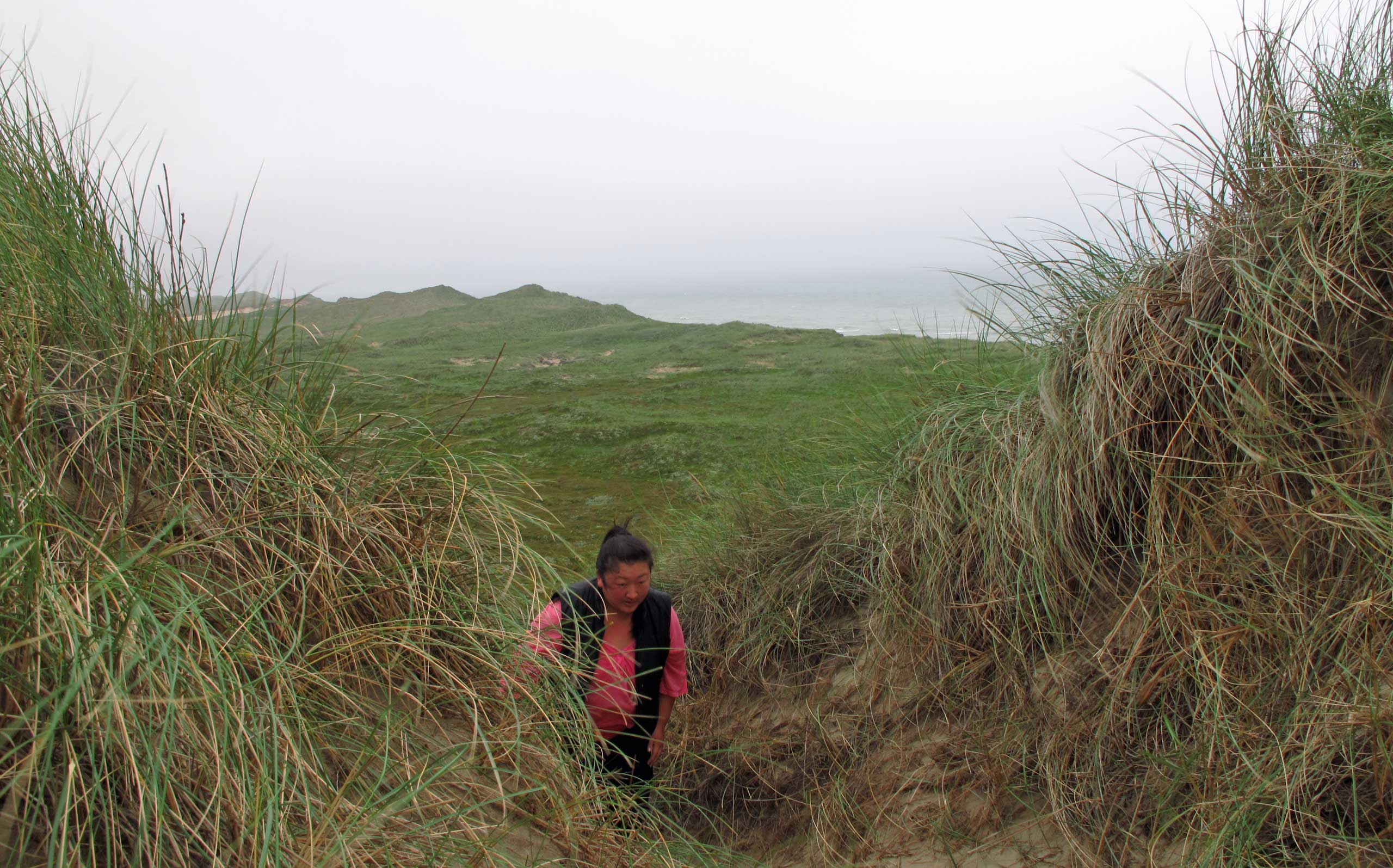 2011 Thy Nationalpark