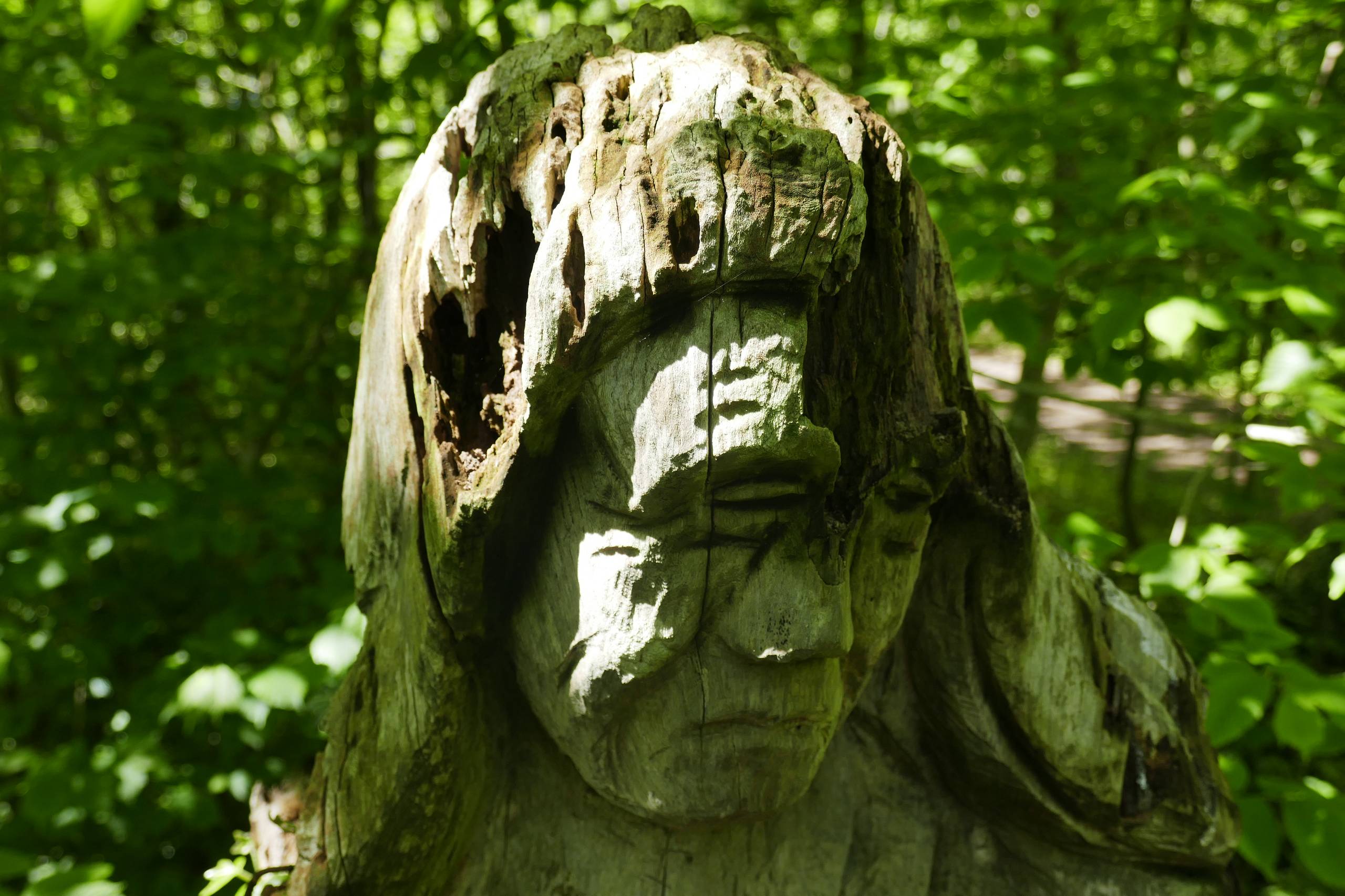 Købmandsgårdens have