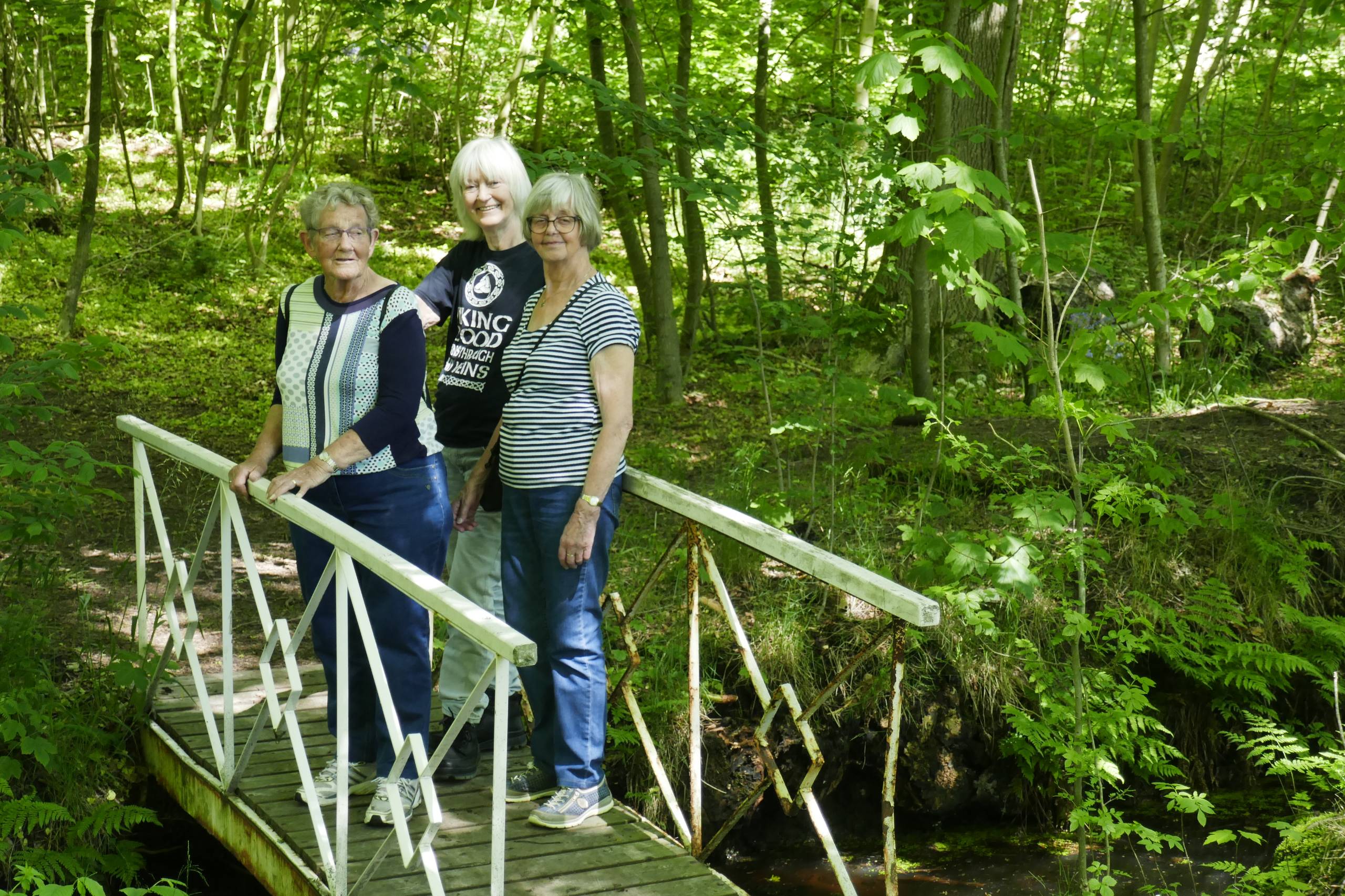 Købmandsgårdens have