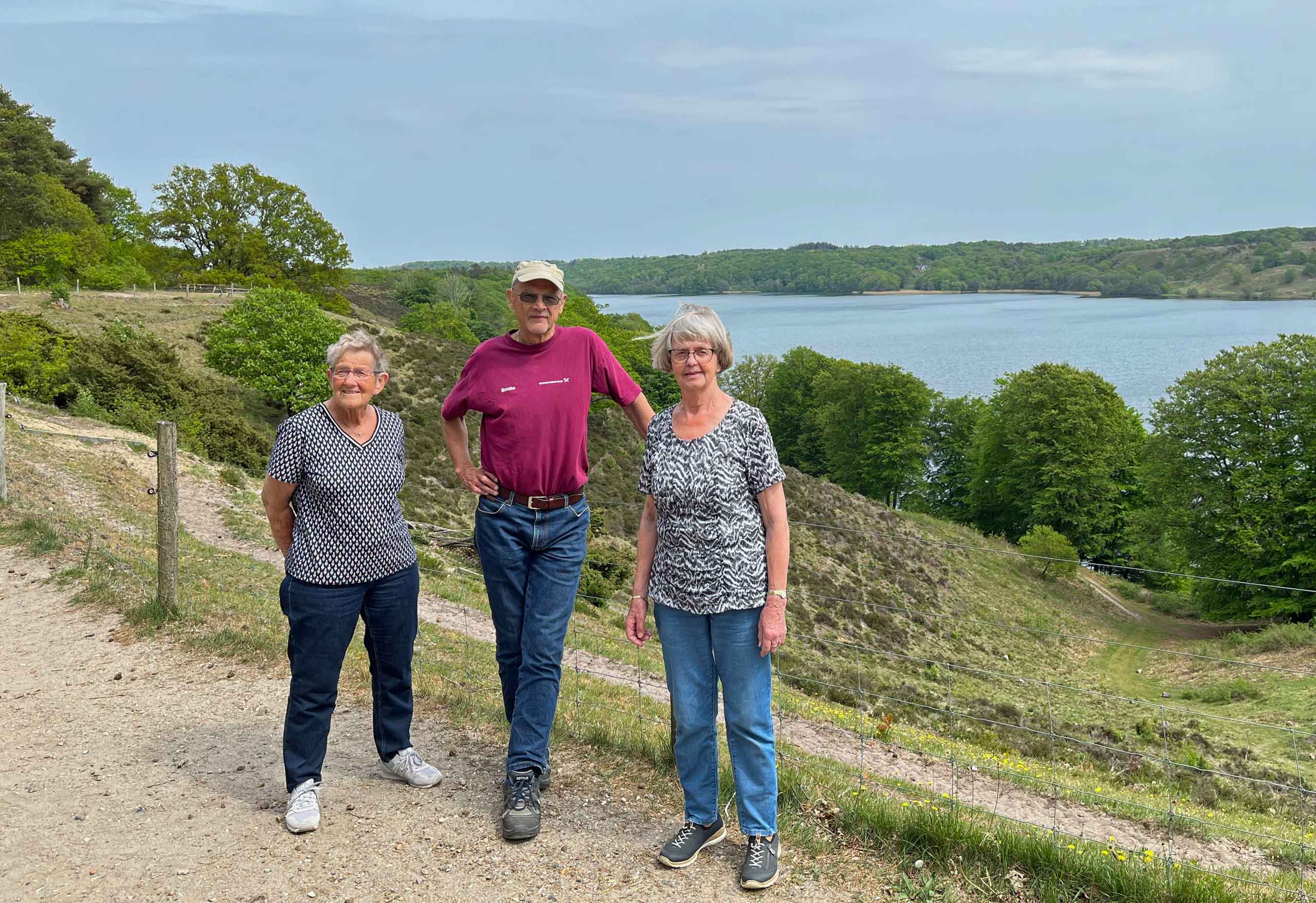Udsigt fra Dollerup Bakker