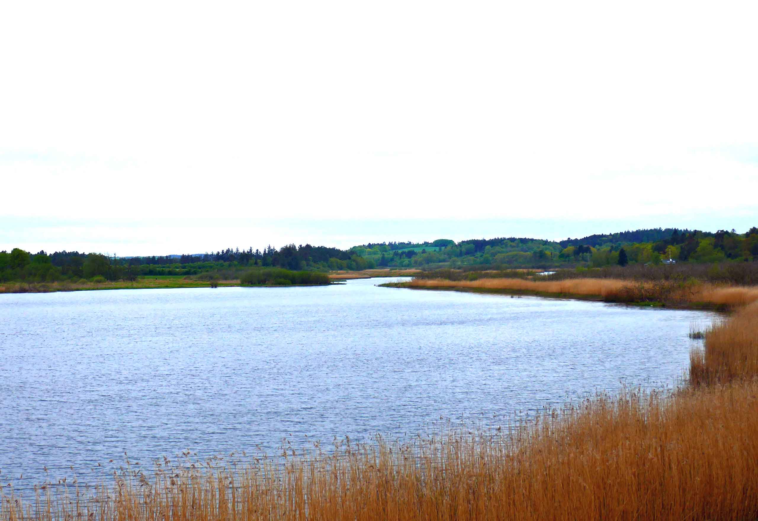 Udsigt fra Fugletårnet